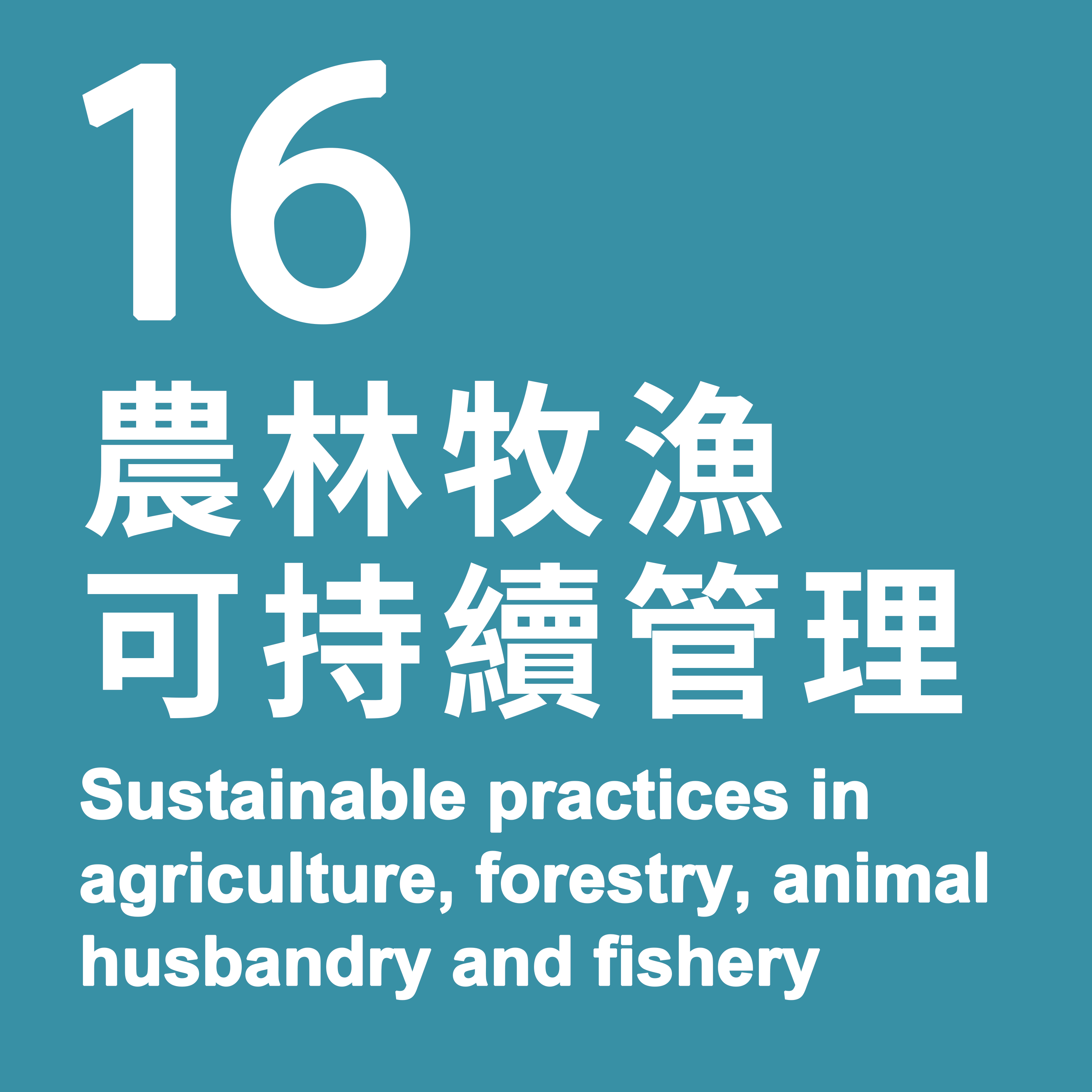 16. Sustainable practices in agriculture, forestry, animal husbandry and fishery